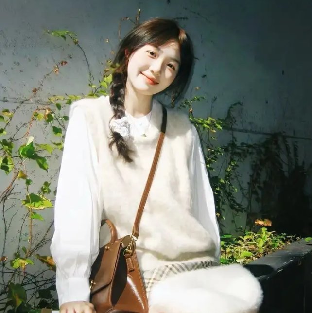 进击吧,我的特工老妈